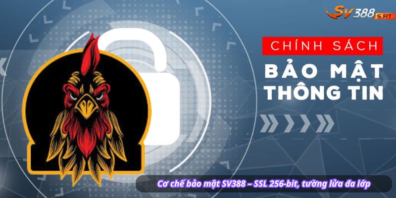 Cơ chế bảo mật SV388 – SSL 256-bit, tường lửa đa lớp