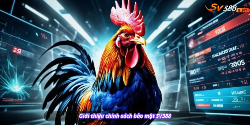 Biểu tượng khóa bảo mật + dòng chữ “Cam kết thép