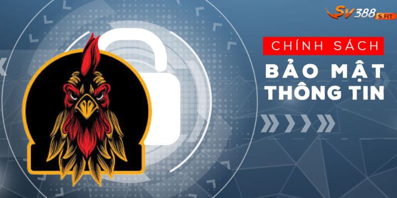 Thu thập & sử dụng thông tin SV388