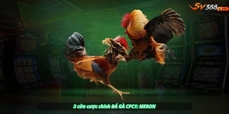 3 cửa cược chính ĐÁ GÀ CPC1: MERON (đỏ) – WALA (xanh) – BDD (hòa)