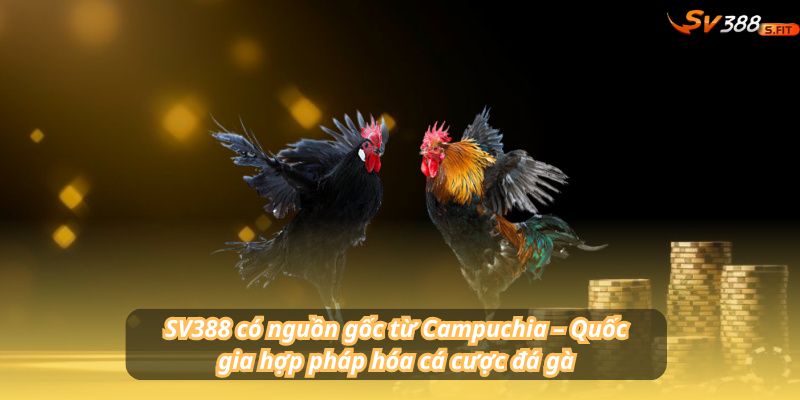 SV388 có nguồn gốc từ Campuchia