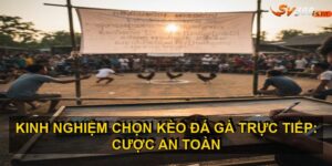 Kinh nghiệm chọn kèo đá gà trực tiếp
