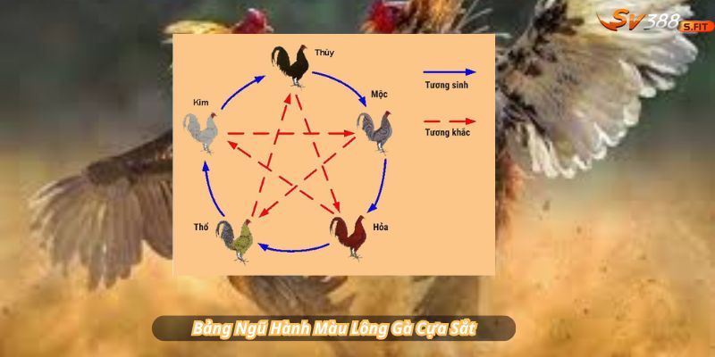 Bảng Ngũ Hành Màu Lông Gà Cựa Sắt – Chọn Ngày Tương Sinh Thắng Đậm