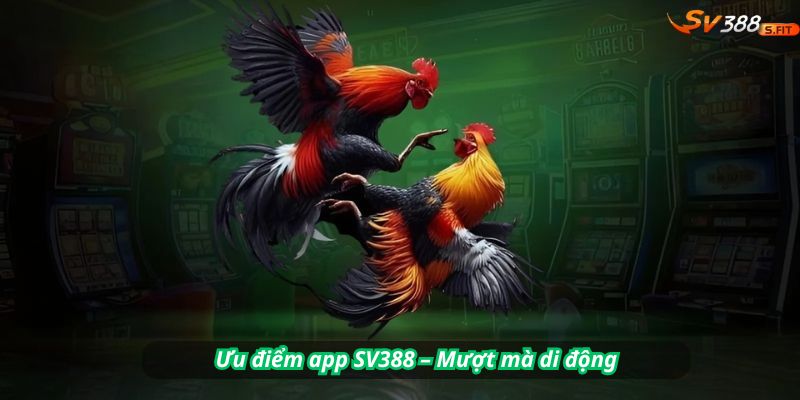 Ưu điểm app SV388 – Mượt mà di động, không chặn link
