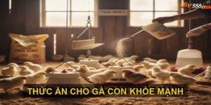 Thức ăn cho gà SV388
