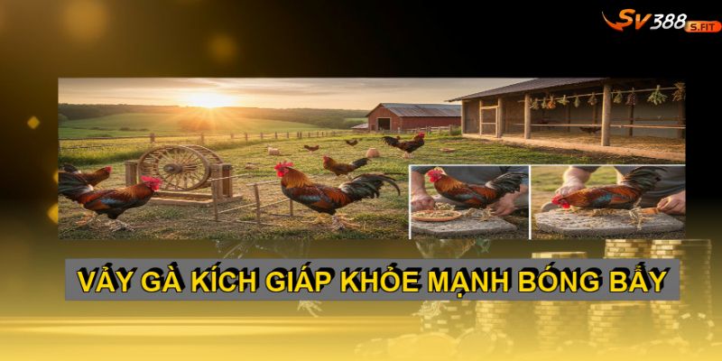 Nhận biết các loại vảy gà kích giáp phổ biến và đặc điểm