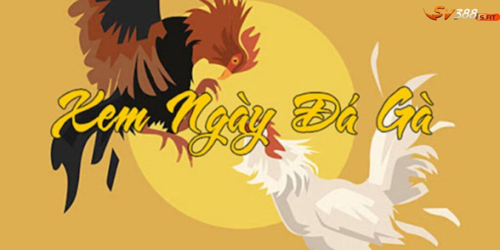Xem ngày đá gà cựa sắt may mắn